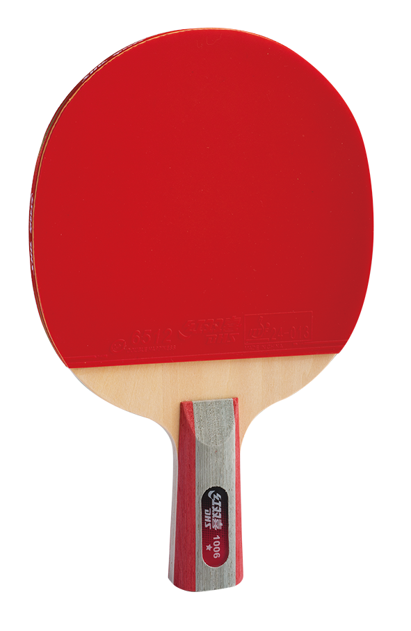 DHS table tennis bat pre-made penhold H1006  - DXES023-1